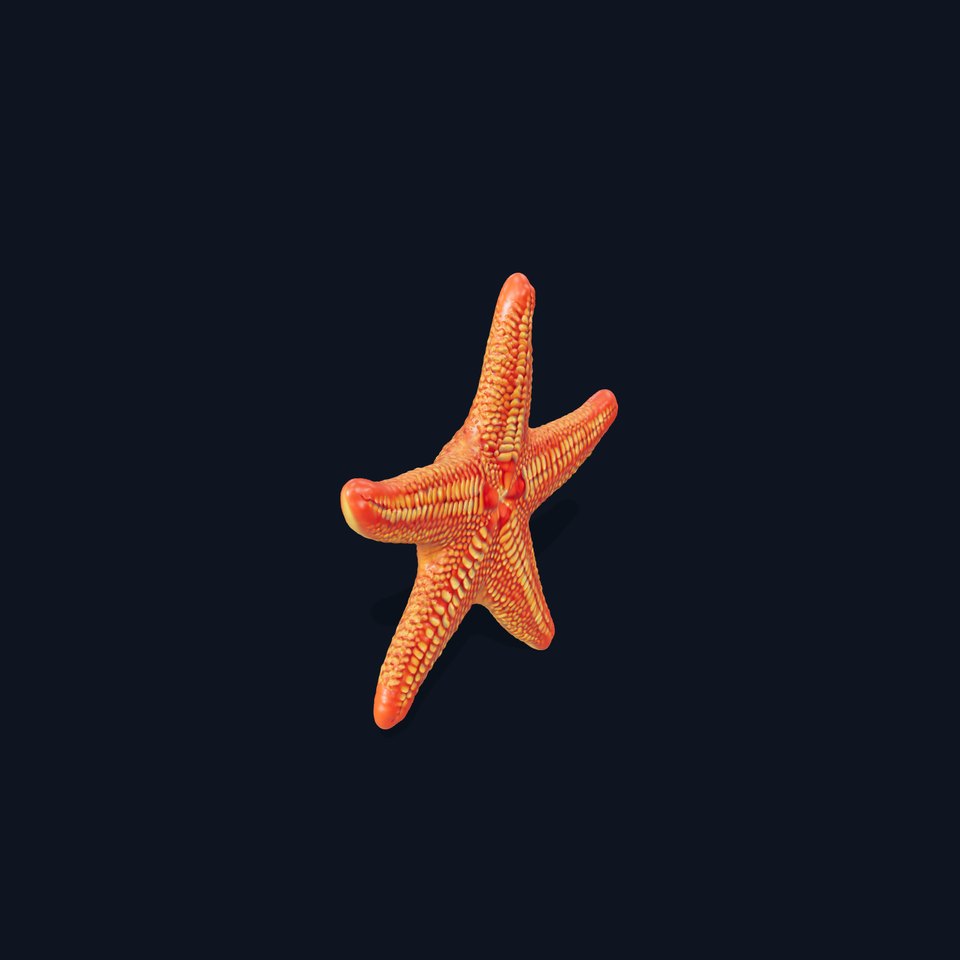 Vibrant Starfish model pack